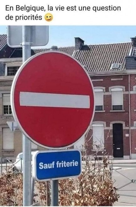 frites belges.jpg