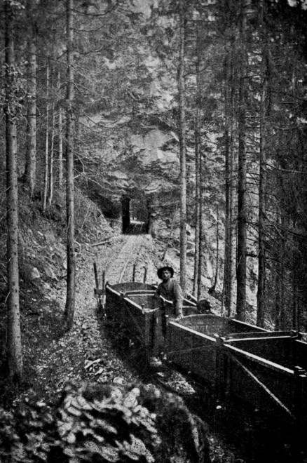 16-BLS-Nord-D-Talfahrender-Dienstbahnzug-beim-Fürtentunnel.-Schweiz.-Bauzeitung-679x1024.jpg