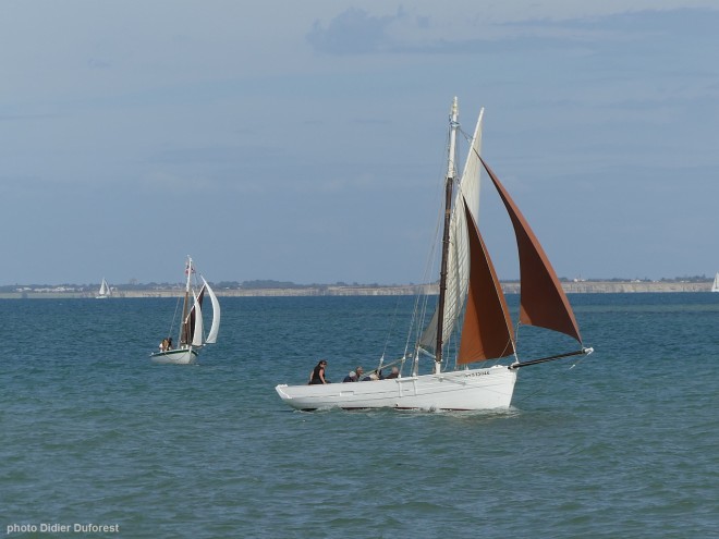 La Flotte 12-8-2023-v.jpg