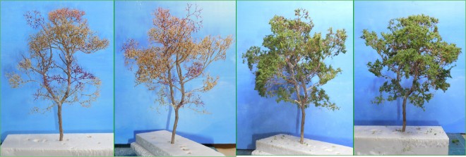 Petit arbre - Phase 1.jpg