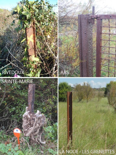 Rails en tout genre.jpg
