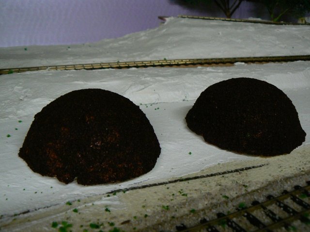 P1110685 (800x600).jpg