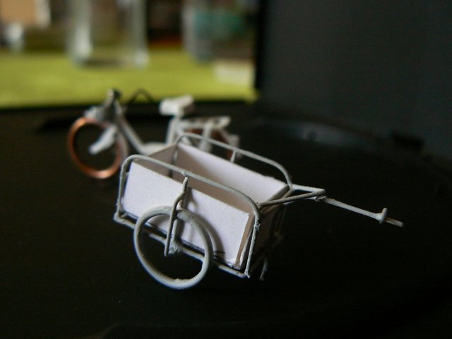 P1110707 (800x600).jpg