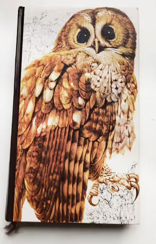 guide-des-oiseaux-2264808255_L_NOPAD-1.jpg