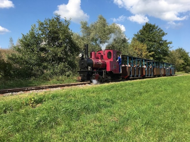 pistache en ligne.JPG