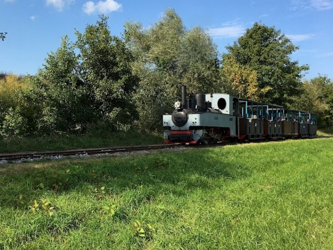 marcelle en ligne.JPG