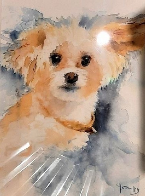 chien lucas.jpg
