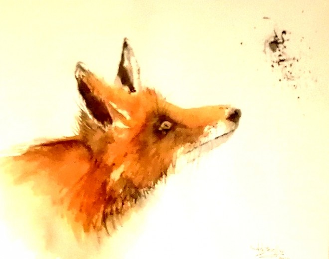 renard papillon.jpg