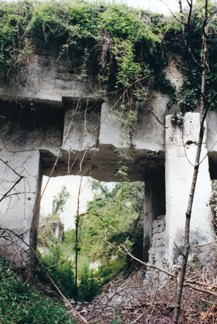 11 - 1994 (10).jpg