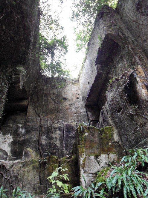 DSC01175 copie.jpg