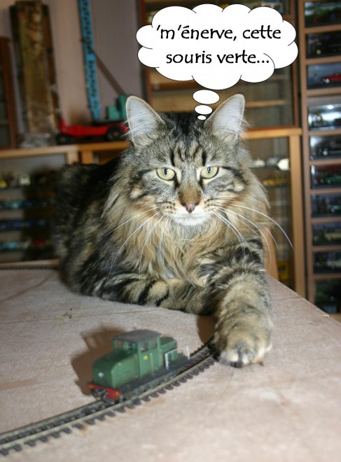 Spïky et le train miniature (1).jpg