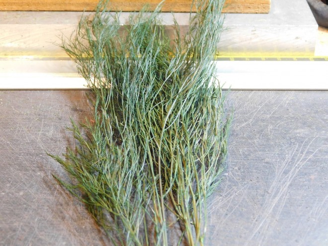 Essais sapin avec branches (Tree-Fernx) 002.JPG