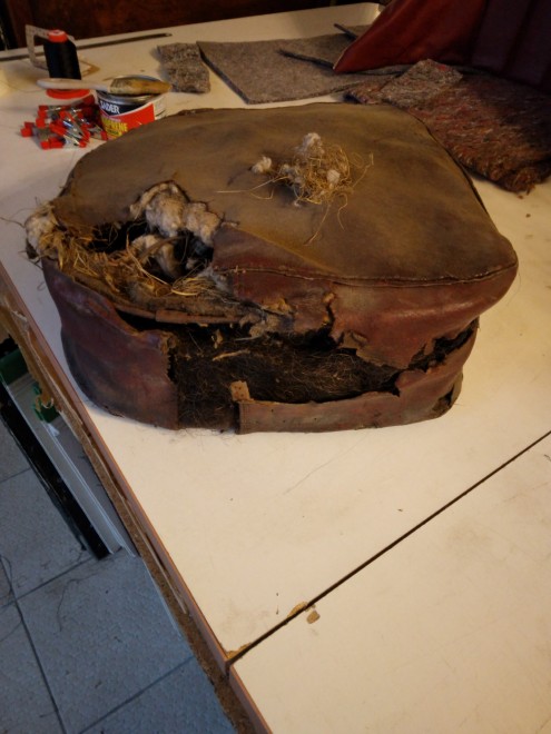 thumbnail_20241231_090240.jpg