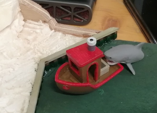 requin.jpg