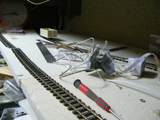 P1180817.JPG