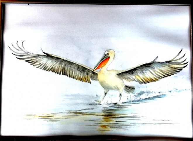 pelican.jpg