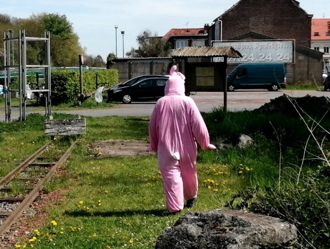 lapin solitaire.jpg