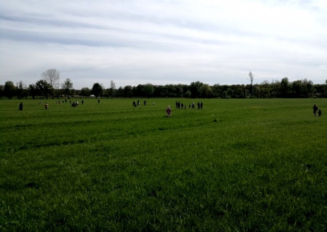 chasse.jpg