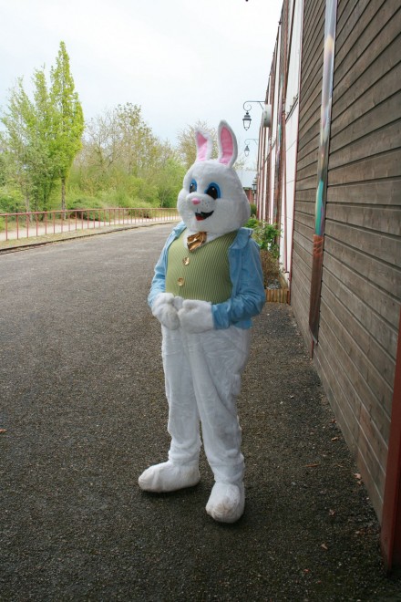 Lapin.JPG