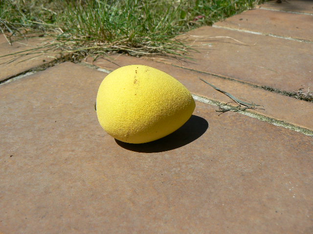 P1180900.JPG