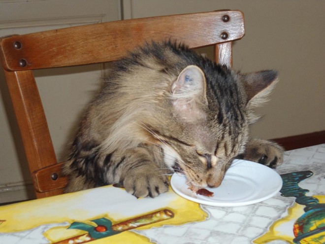 Spïky à table RÉ - 8 avr 2012 1) (1).jpg