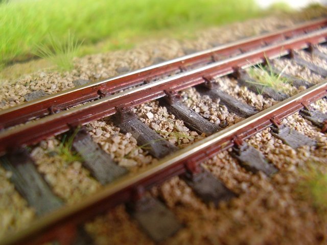 P9110056_3.jpg
