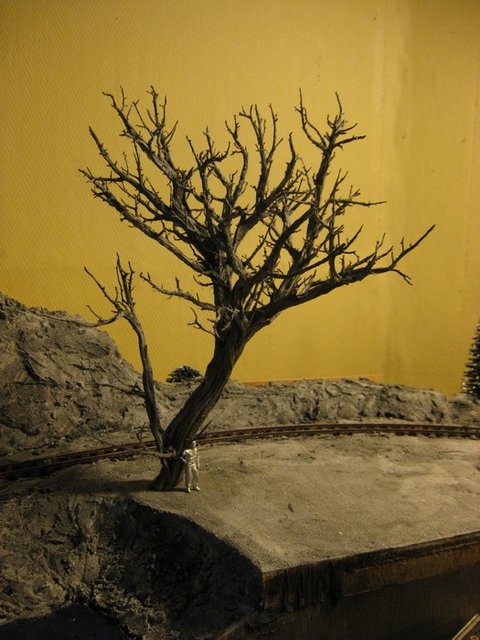 tree sweetwater.jpg