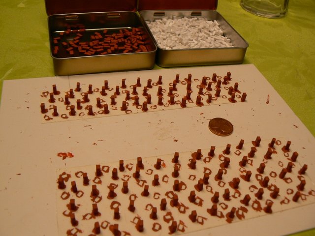 P1110995 (800x600).jpg