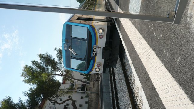 P1130100.JPG