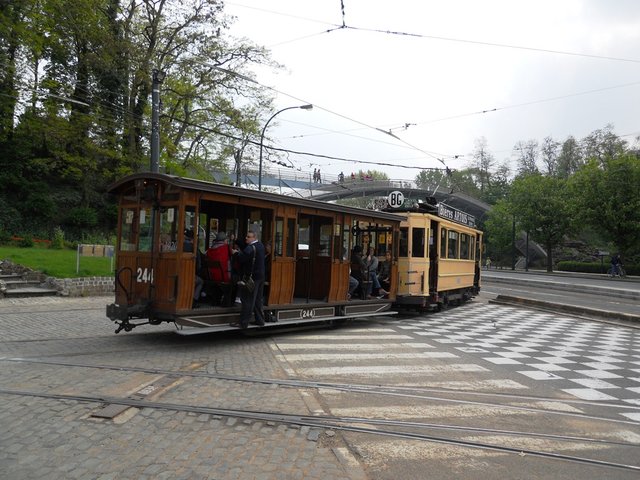 DSCN0795.JPG