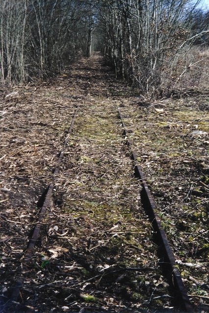 ancienne voie débroussaillée.jpg