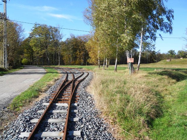 DSCN0037.JPG