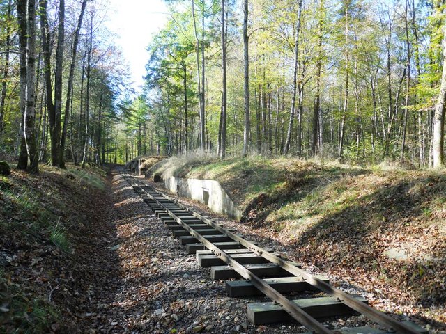 DSCN0043.JPG