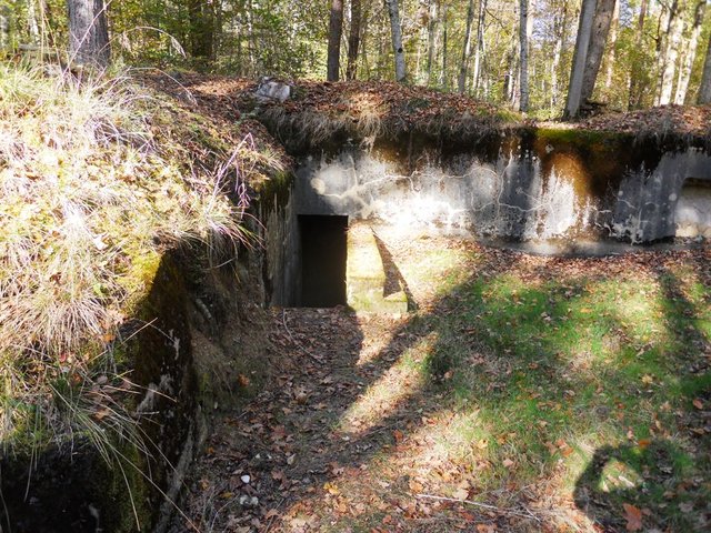 DSCN0044.JPG
