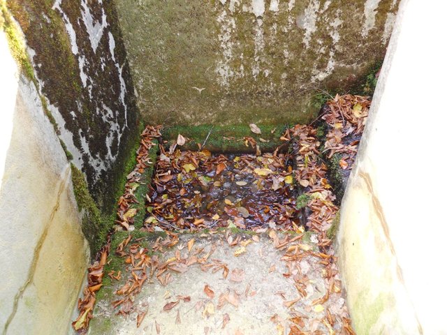 DSCN0046.JPG