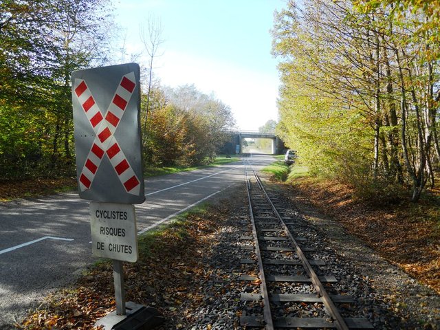 DSCN0048.JPG
