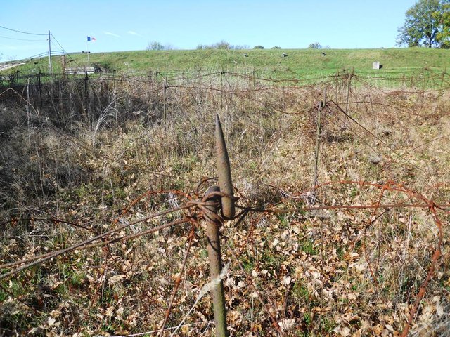 DSCN0053.JPG