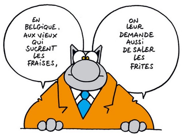 chat%20Geluck.jpg