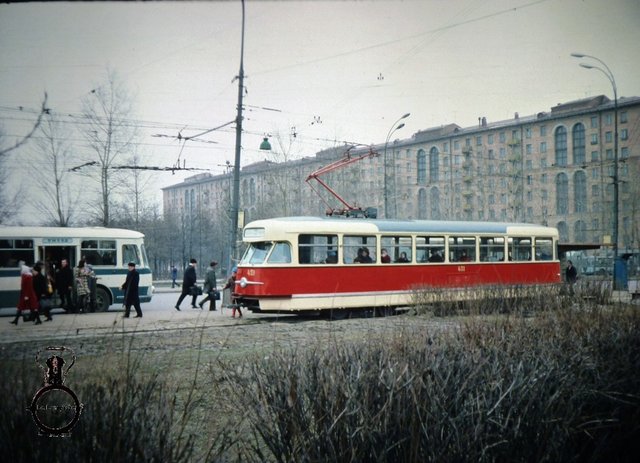 P1040826.JPG