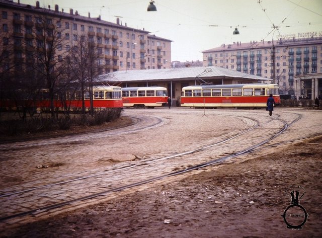 P1040824.JPG