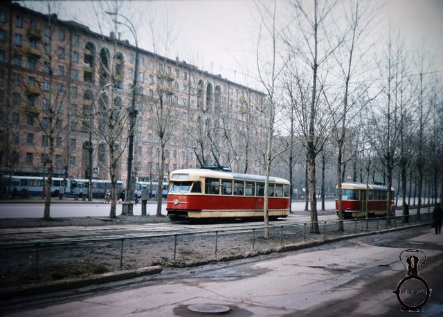 P1040830.JPG