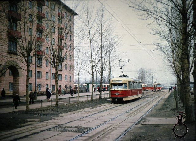 P1040831.JPG
