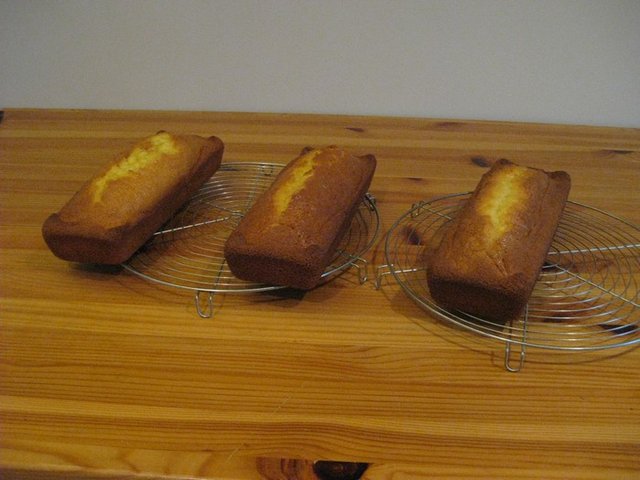 Photo 915.jpg