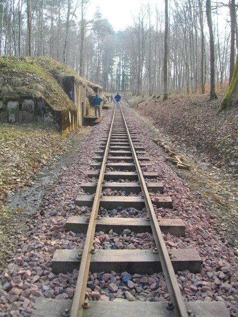 IMGP2886.JPG