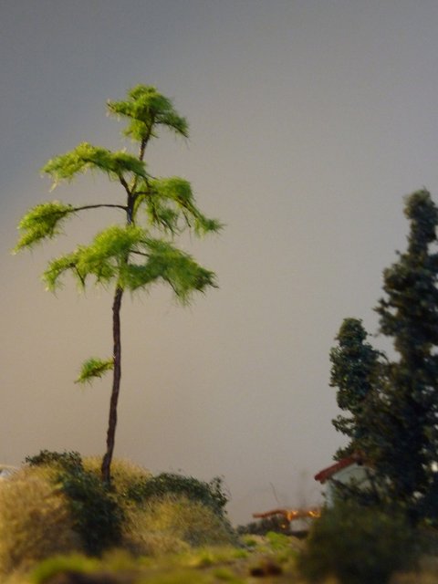 P1030616.jpg