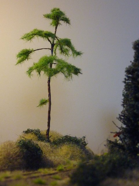 P1030617.jpg