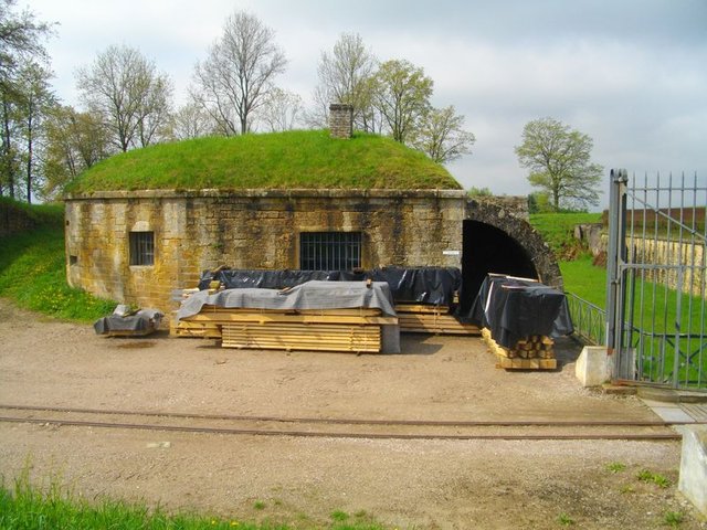 IMGP3117.JPG
