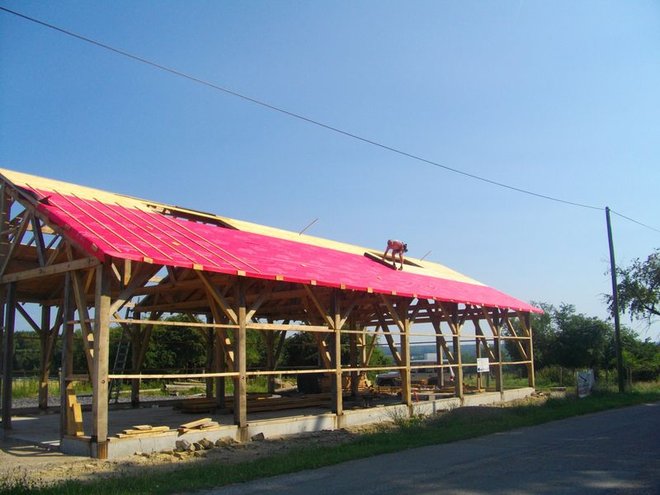 IMGP3709.JPG