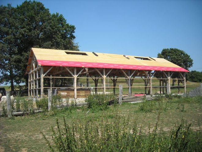 DSCN6599.JPG