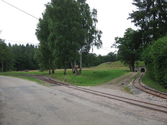 Photo 184.jpg